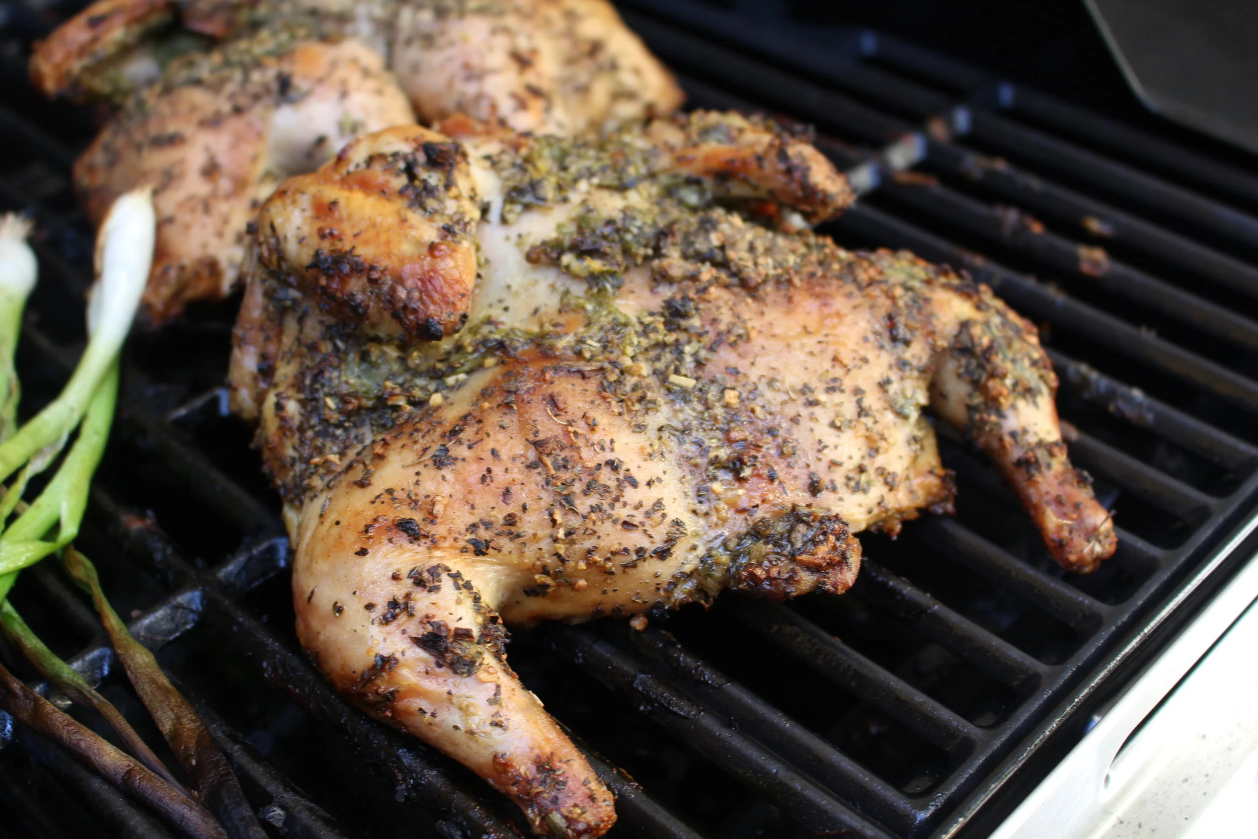 Grilled Cornish Hens