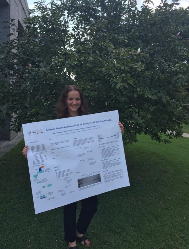 Maddie Hurwitz’s National Cancer Institute Internship