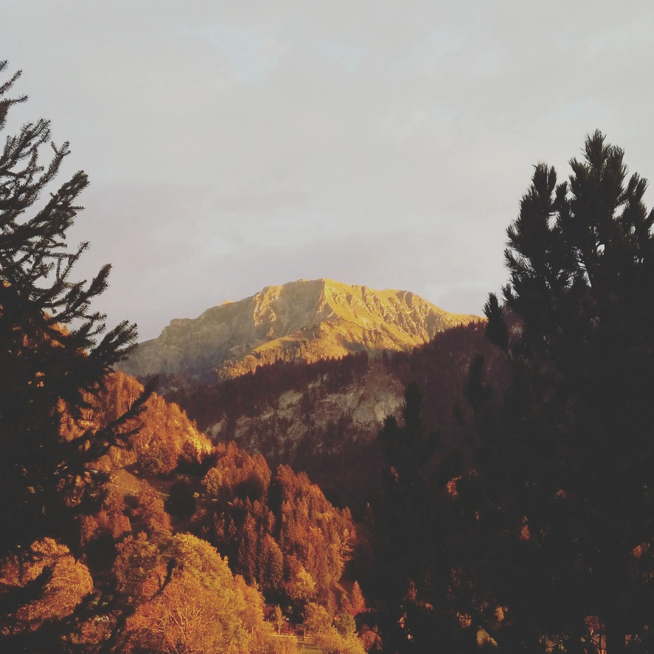 November Playlist: when autumn comes