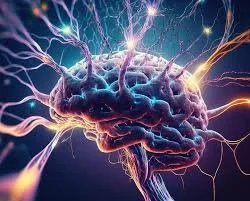 Neuroscience Club Q & A