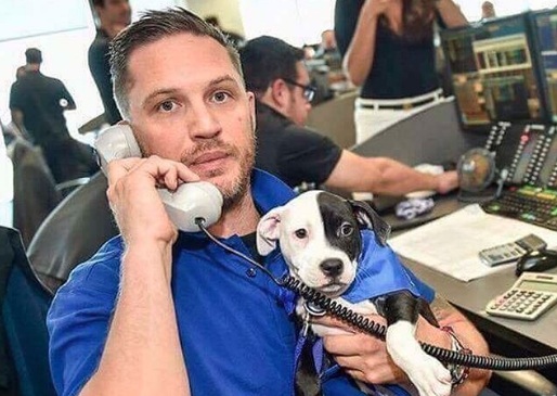 Tom-Hardy.jpg