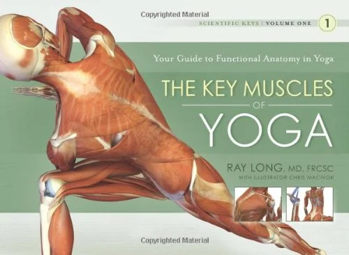 KeyMuscles.jpg