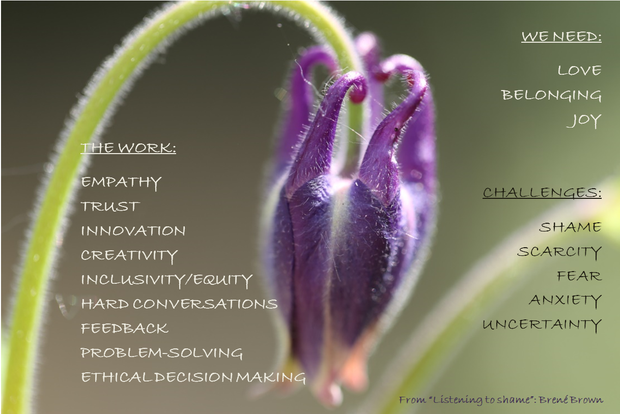 I made an extract from “Listening to Shame - TED talk” - by Brené Brown