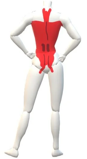 Extensor muscles Back.jpg