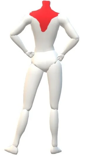 Trapezius.jpg