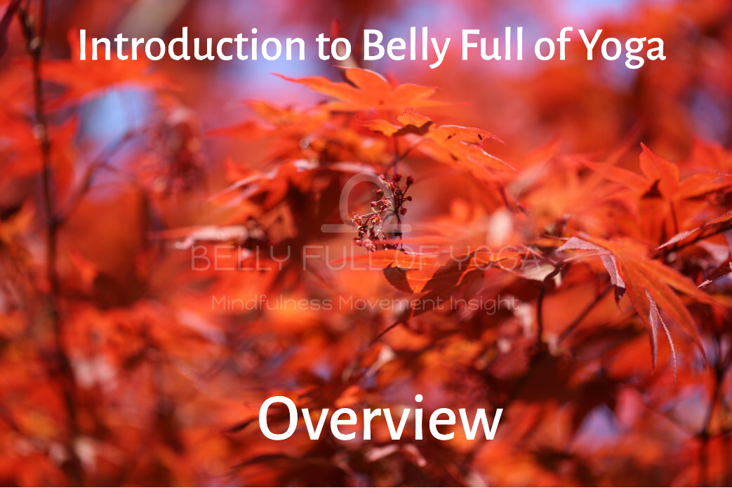      

 
   Introduction to Belly Full of Yoga 
 






















        &nbsp;                  

 
   Welcome to this short 5-part Introduction to Belly Full of Yoga; giving information on some of the core concepts of the website. It will co