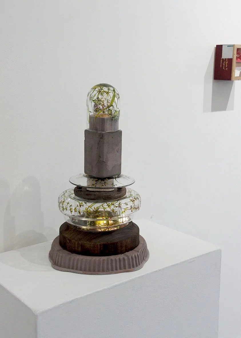 DSC02409_.jpg