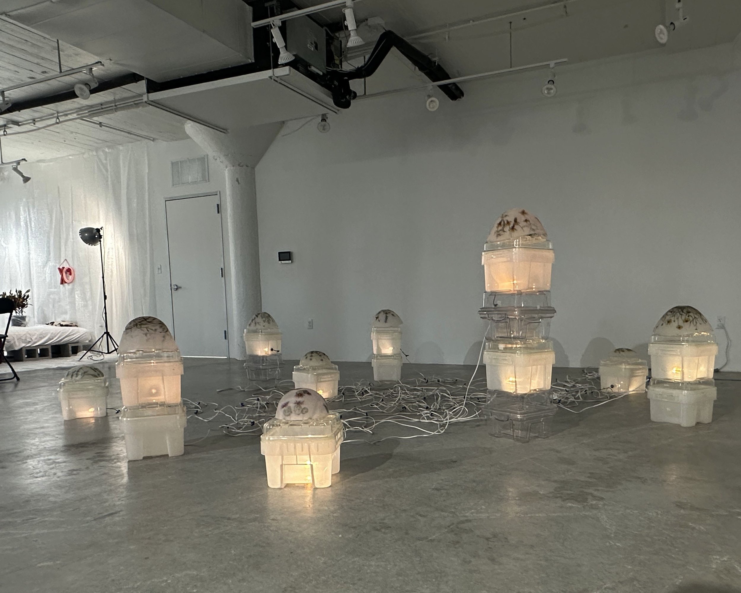 Texas Biennial, Houston, TX 2024