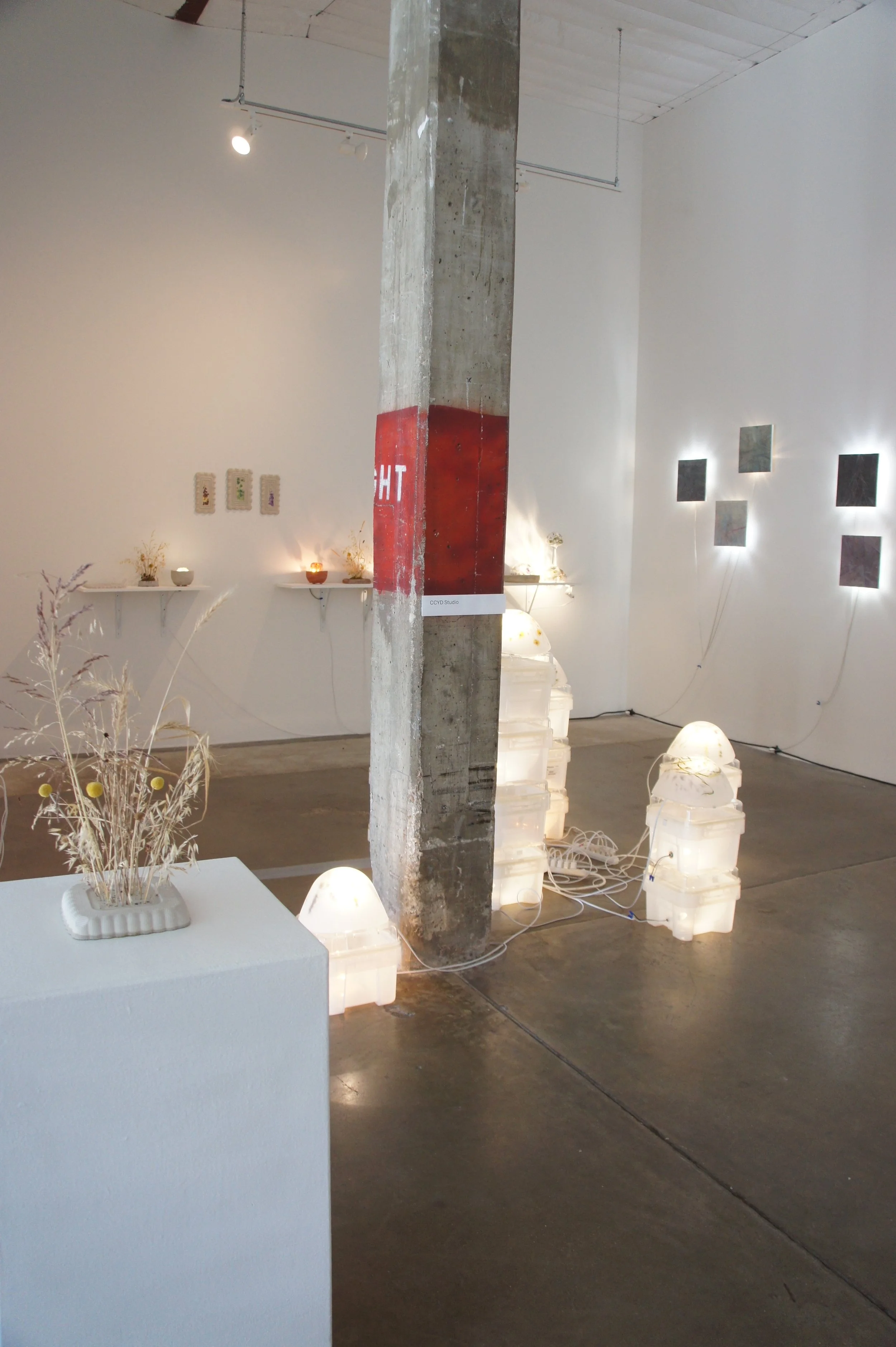 Canopy Projects 2024