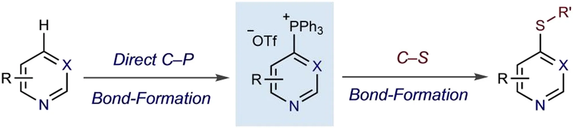 Publications - McNally Group