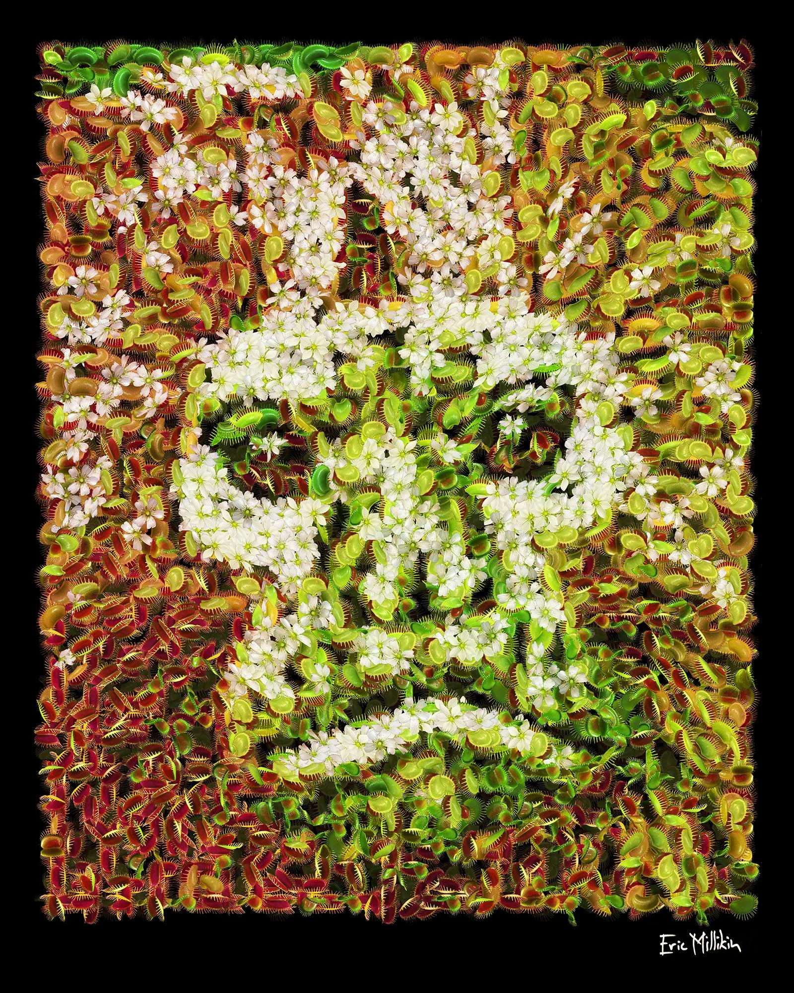"Danger Beast: Golden Lion Tamarin" 2016