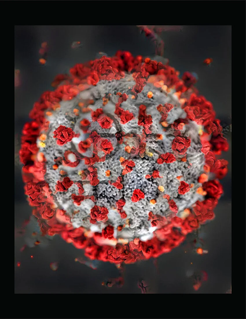 virus.jpg