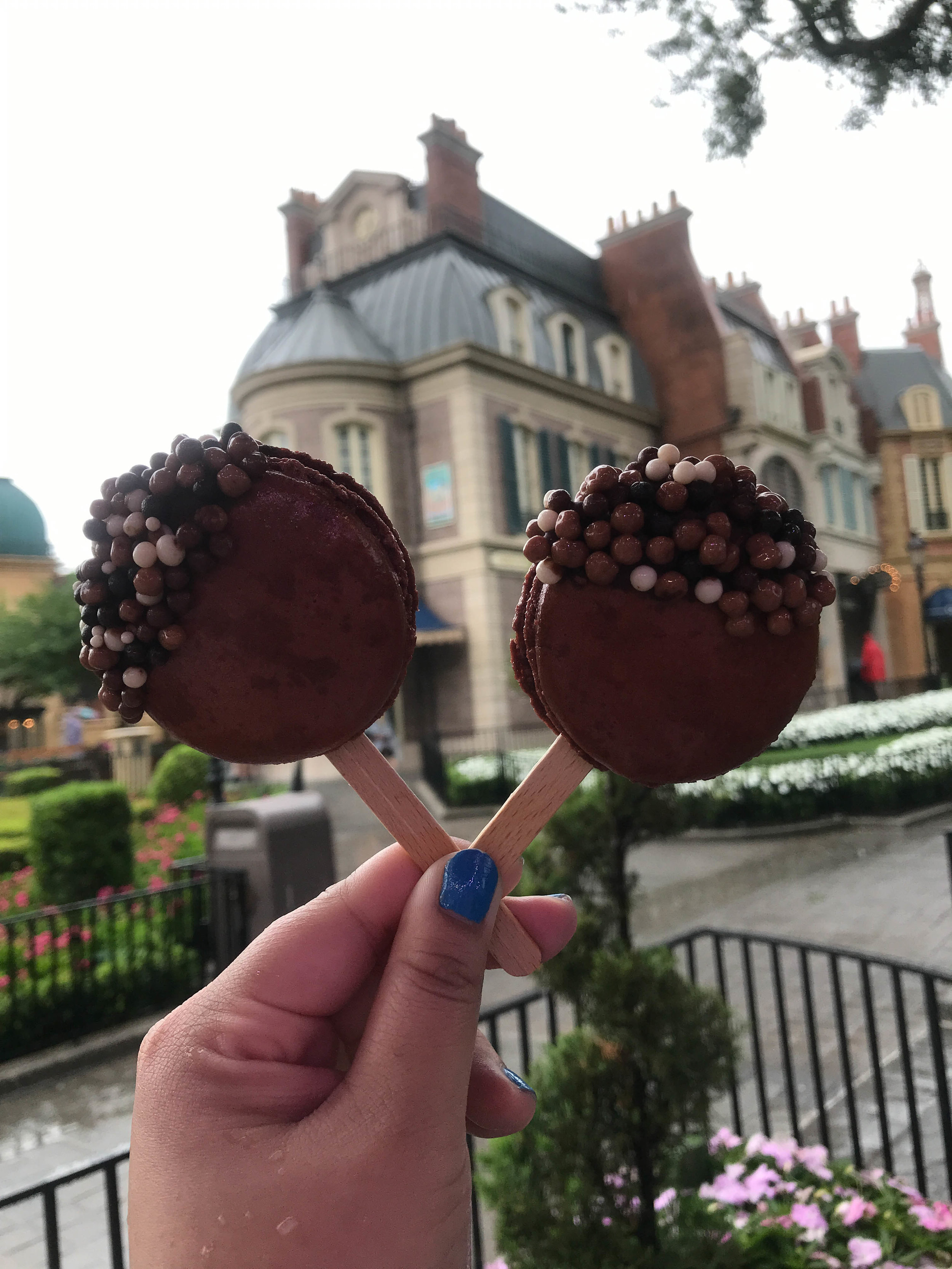 Chocolate Macaron