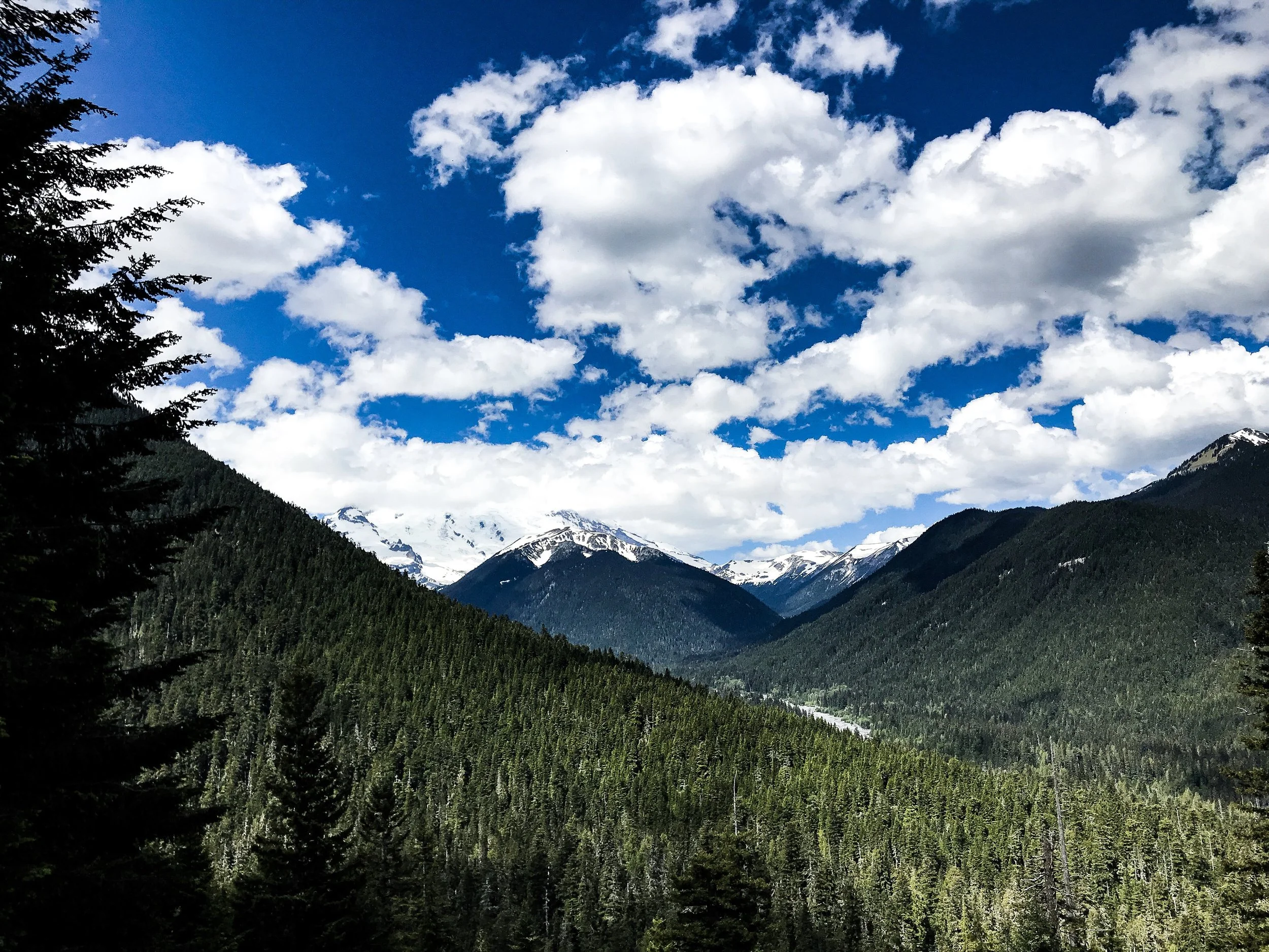 View of Mount Rainier from WA-7