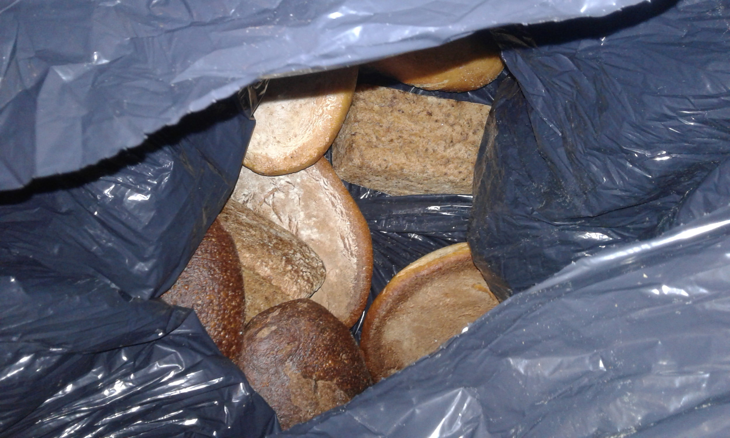 Bread that is bagged to be donated (or thrown away) at the bread shop in Newburyport, MA.