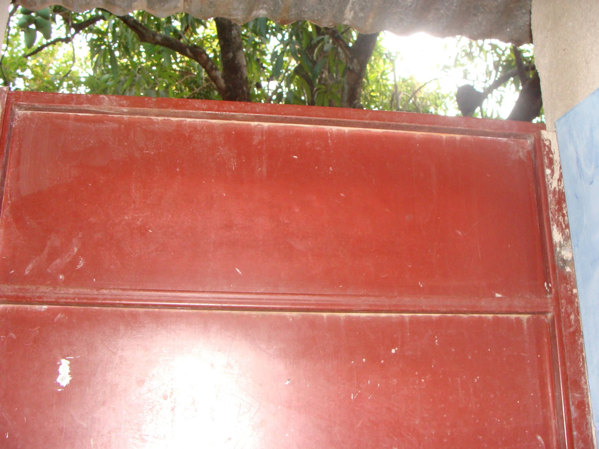 DSC04522.JPG