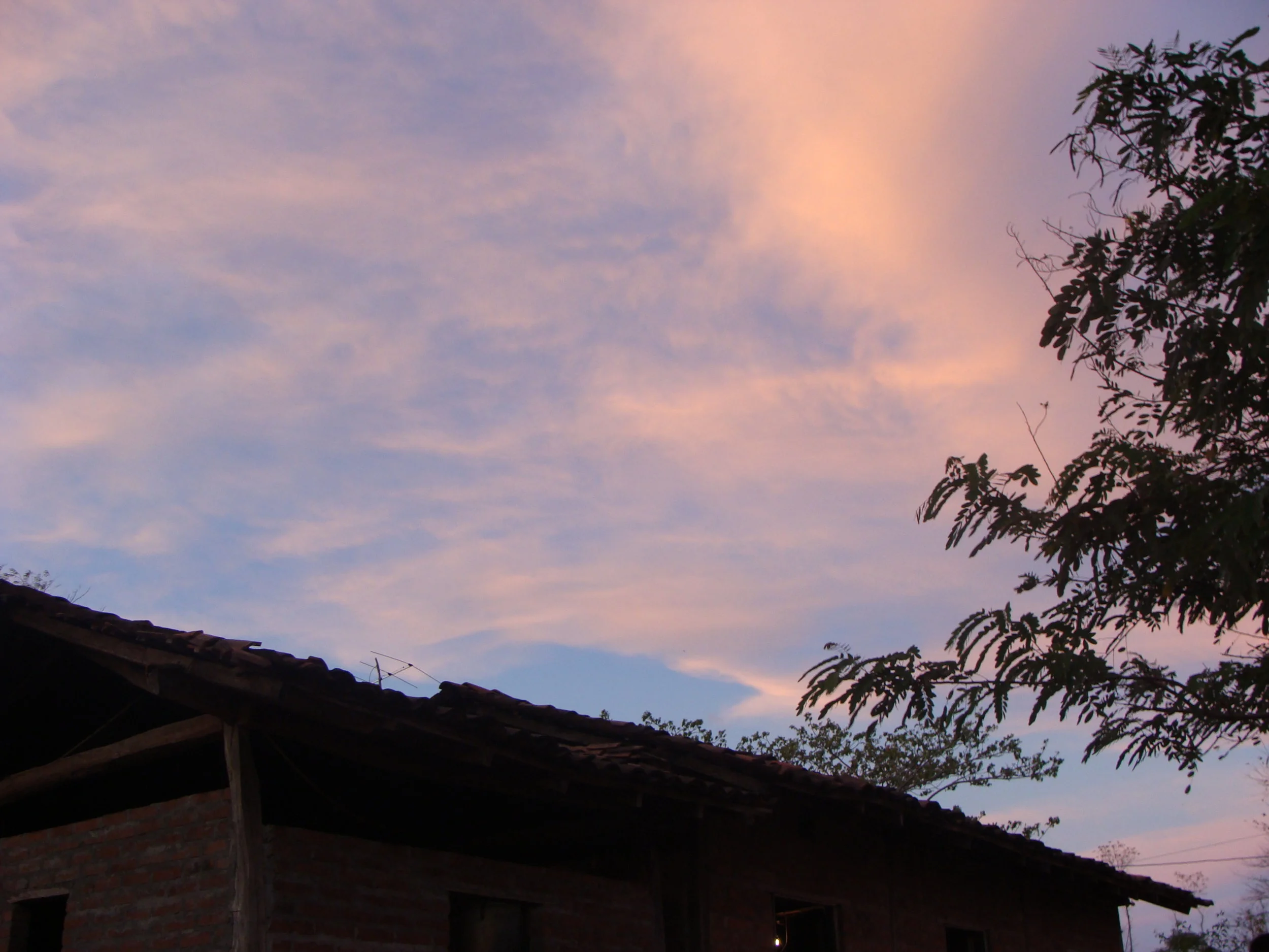 DSC04531.JPG