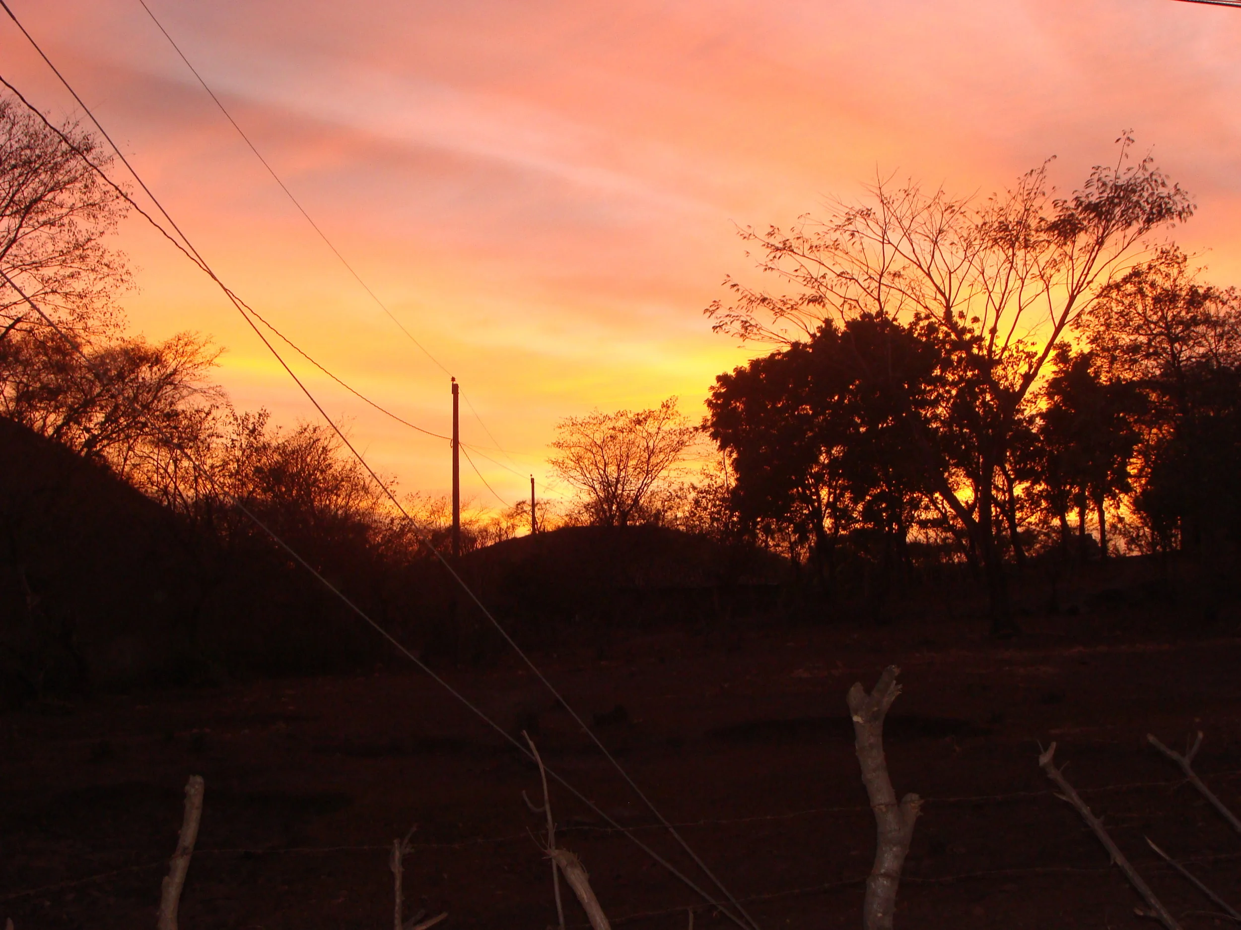 DSC04758.JPG