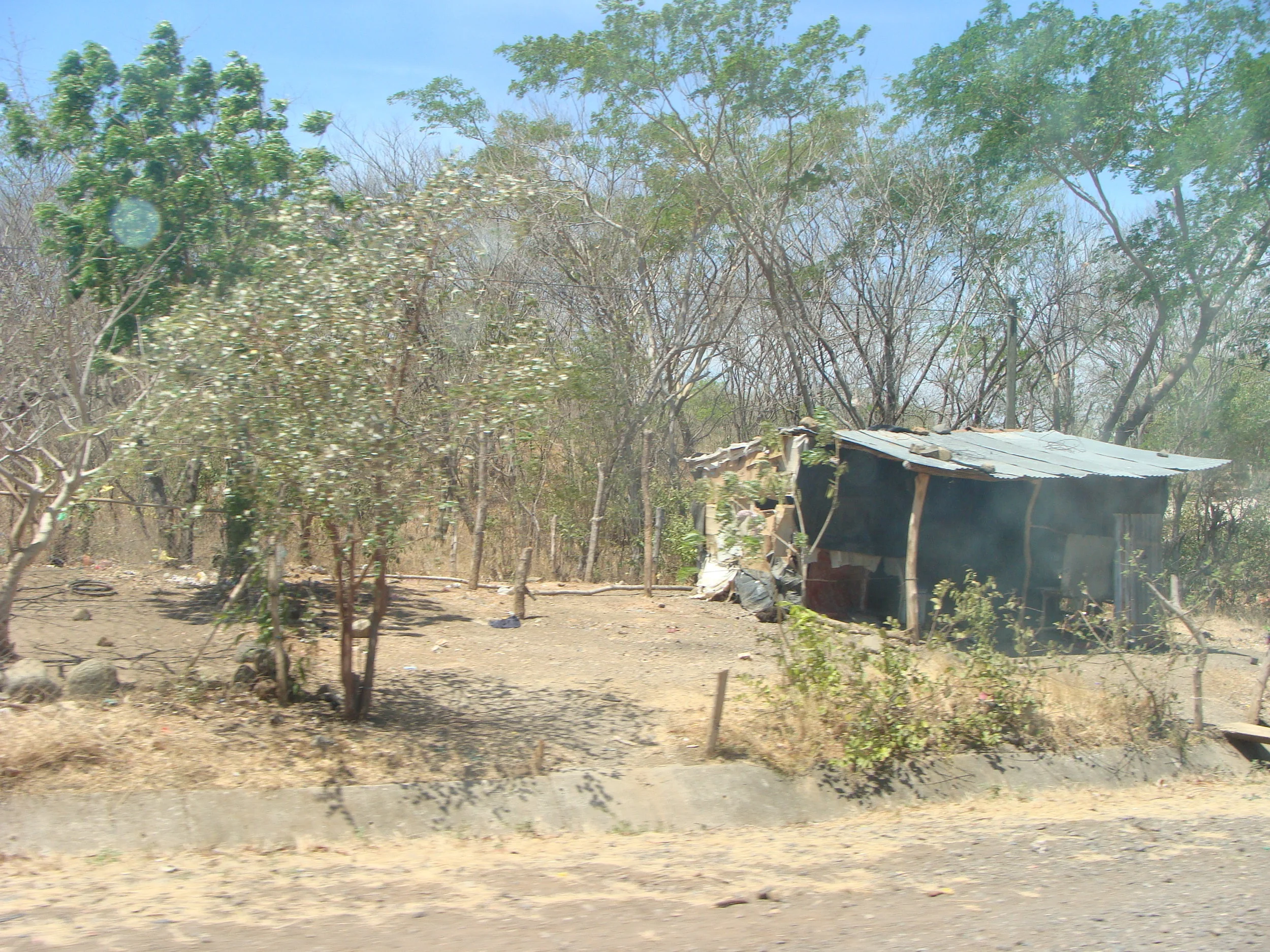 DSC05295.JPG