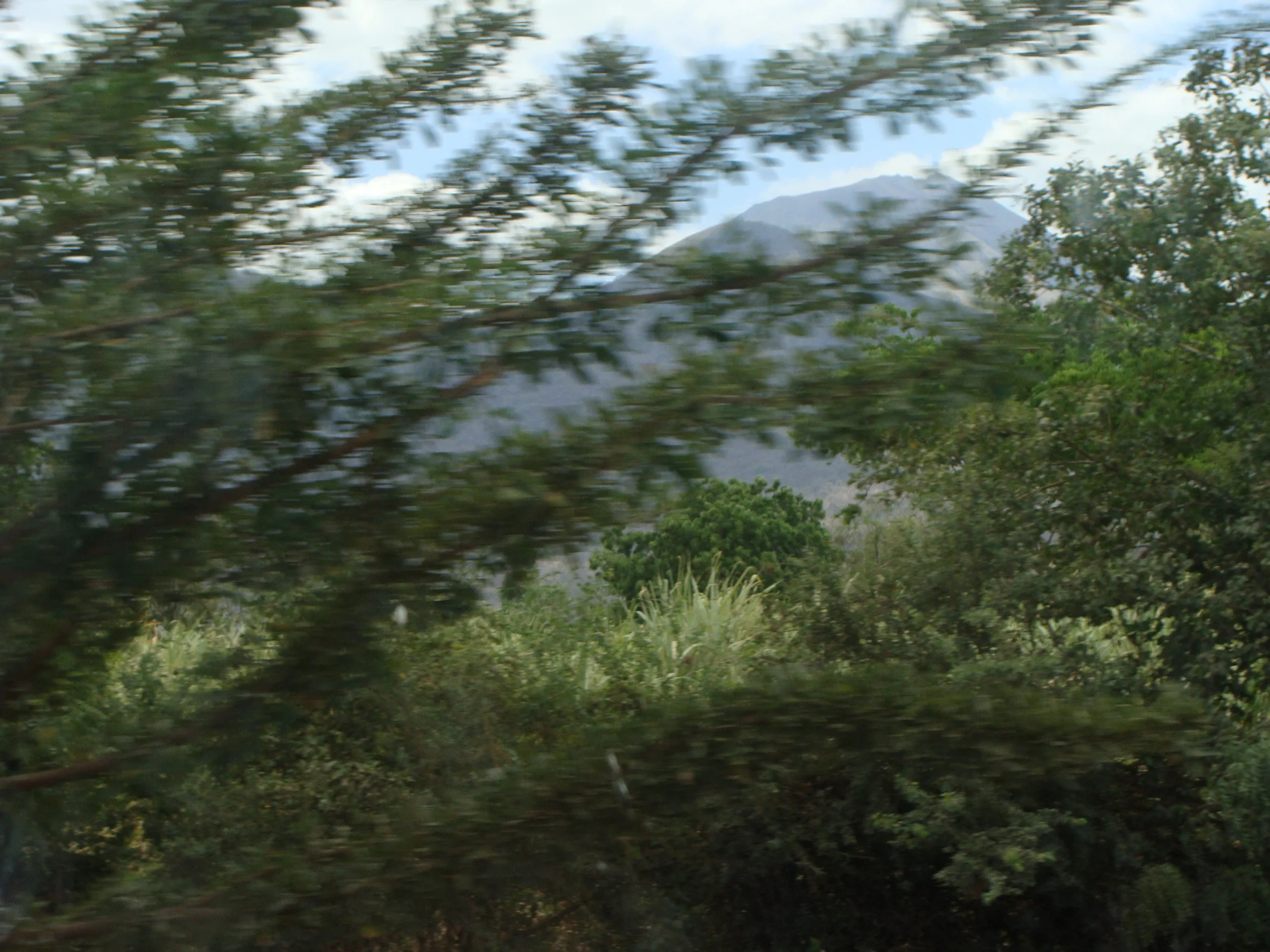 DSC05316.JPG