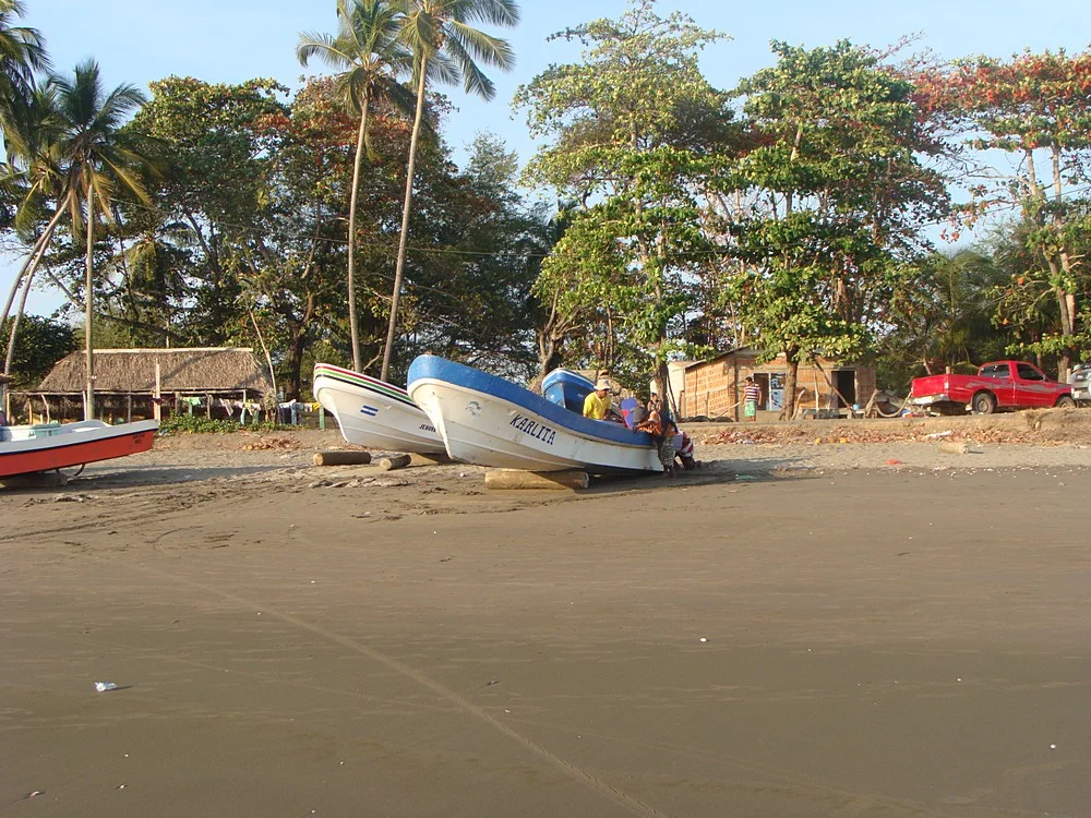 DSC05434.jpg