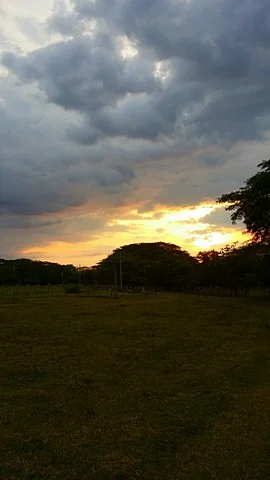 20150811_175805.jpg