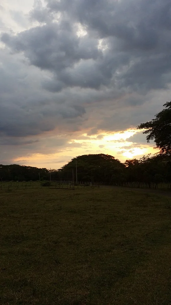20150811_175459.jpg