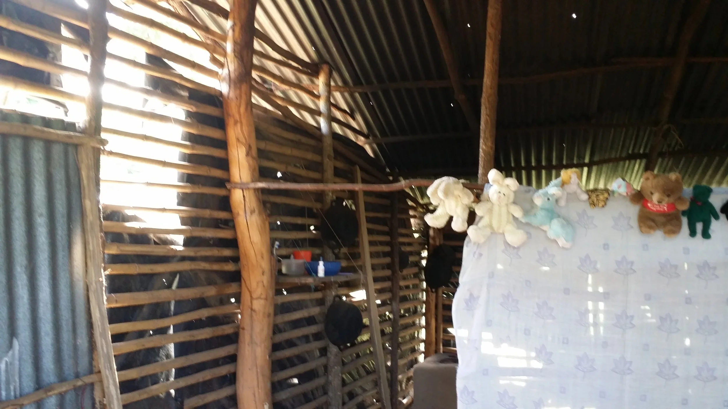 20151207_132855.jpg