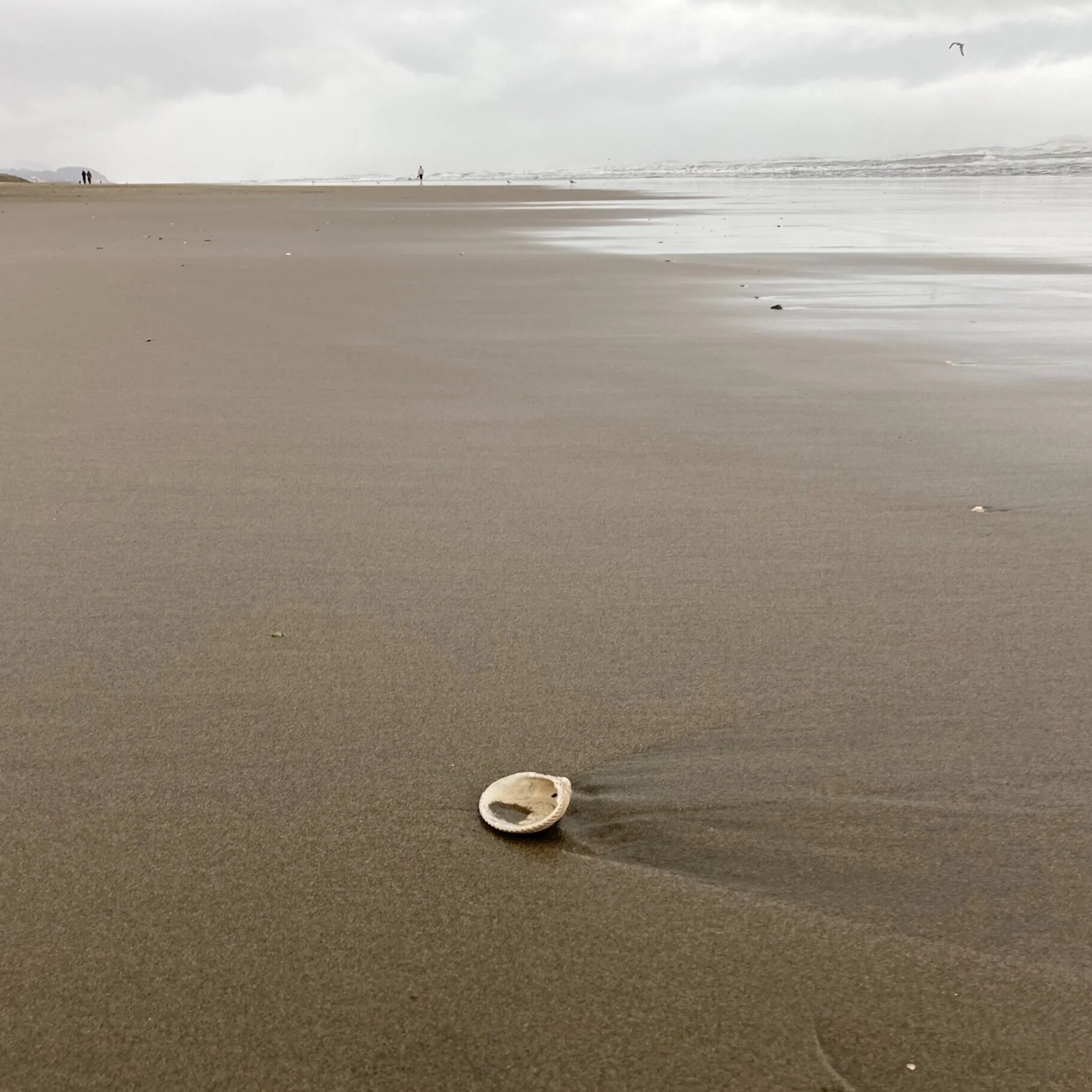 1/2 Moon Bay, Jan