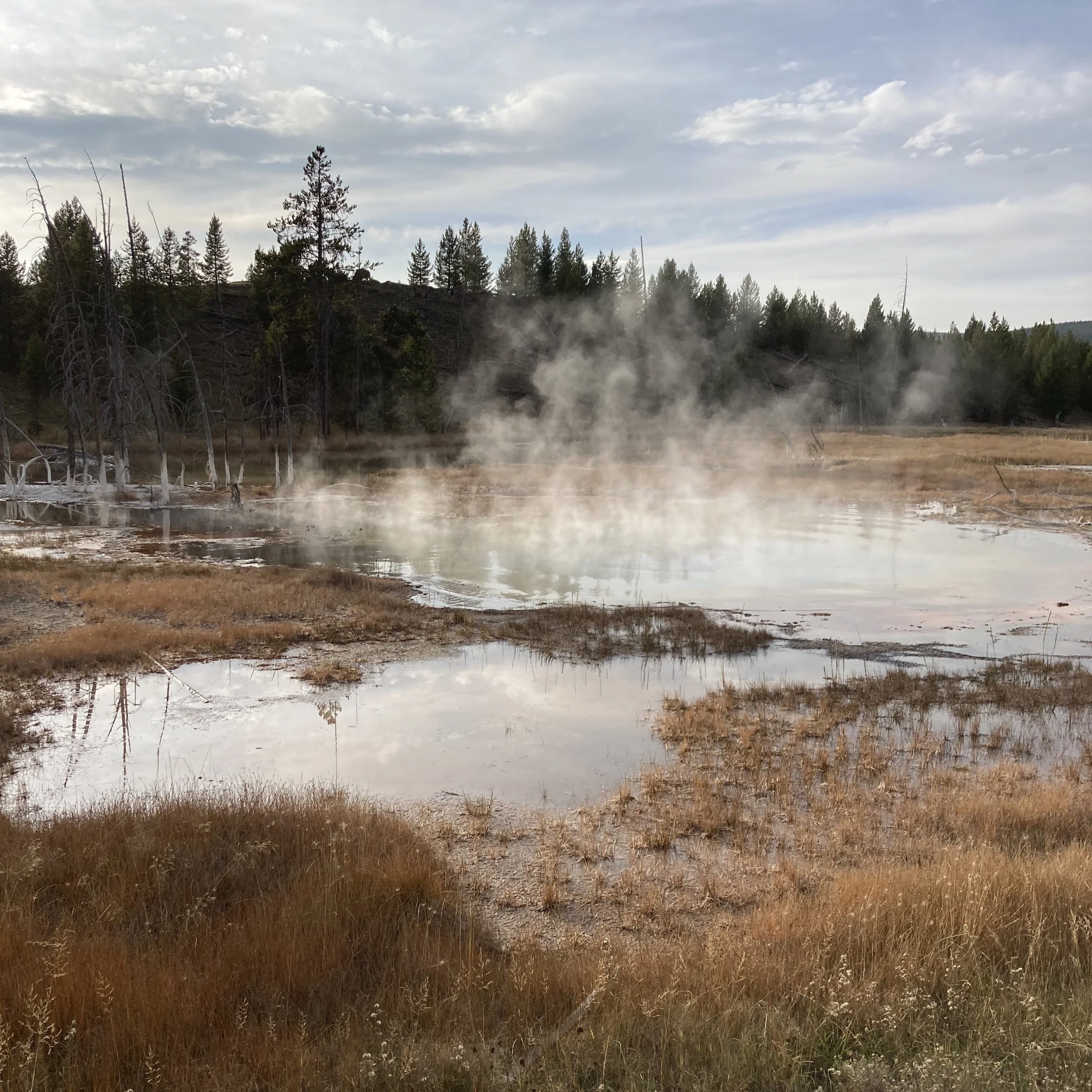Present and future, Yellowstone 