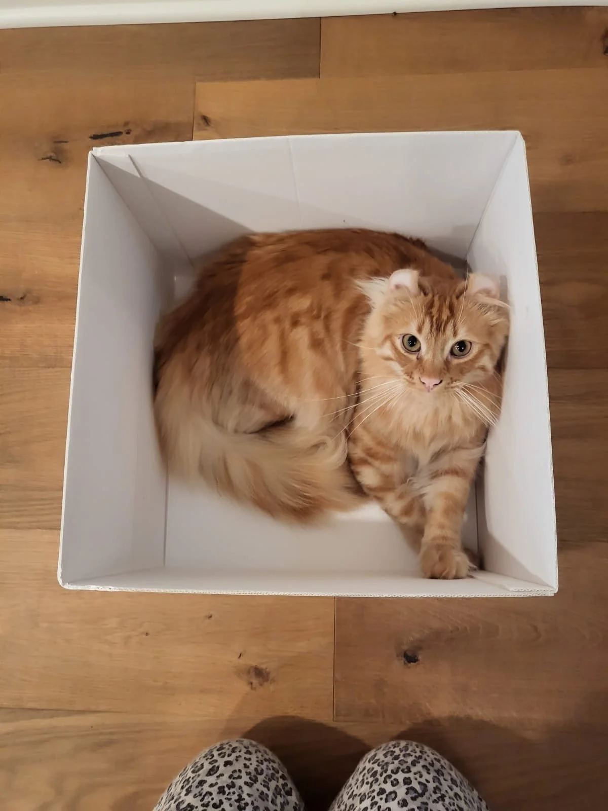 WhatsApp Image 2024-05-28 at 19.40.29.jpeg