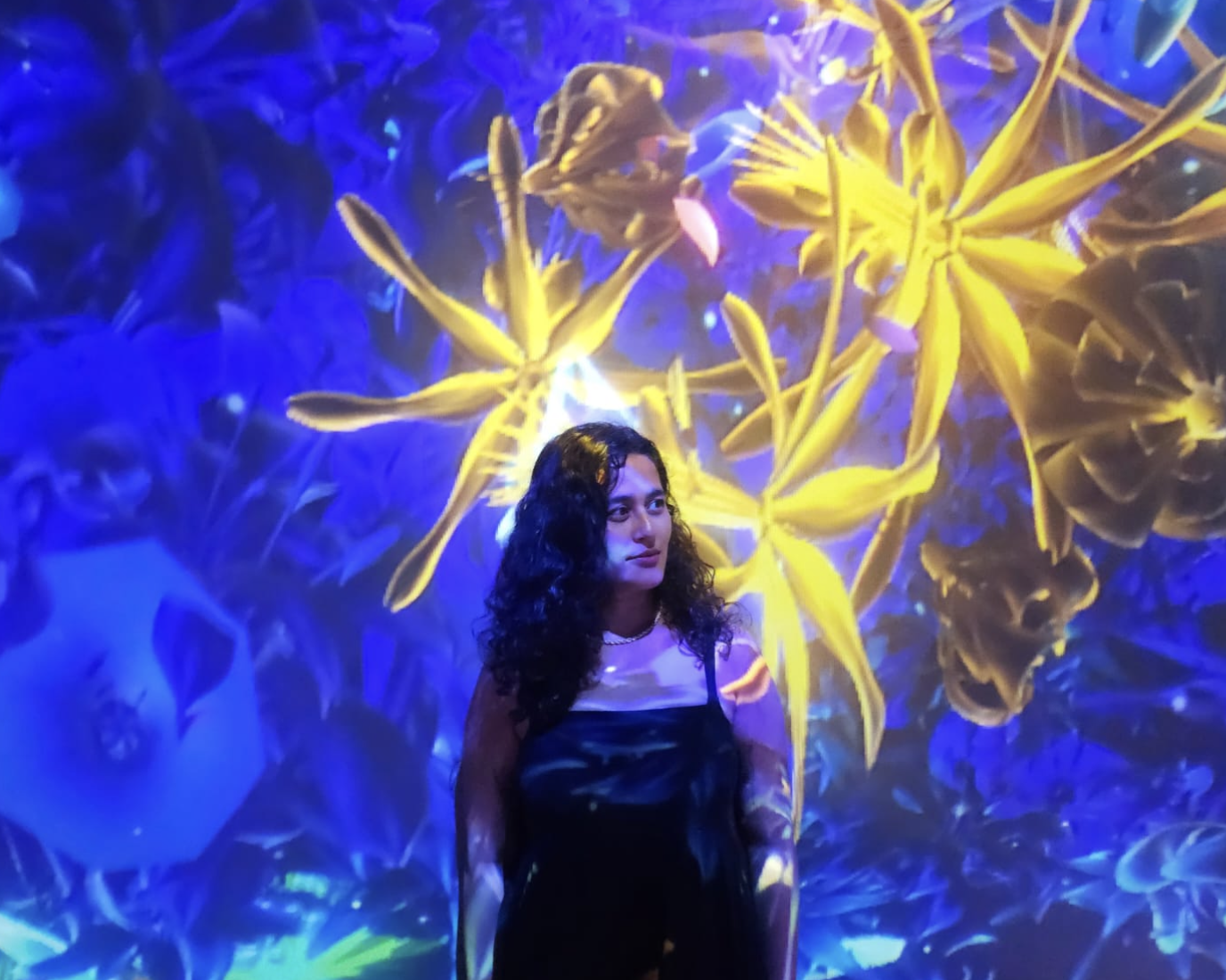 Screenshot 2024-11-12 at 4.37.06 PM.png