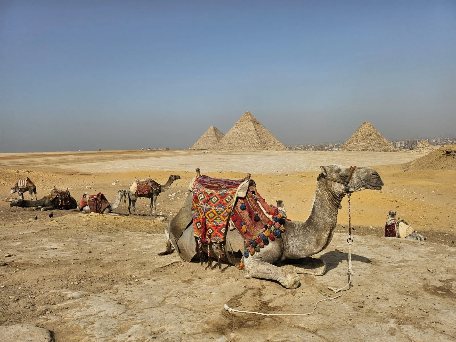 WhatsApp Image 2024-11-12 at 18.34.15.jpeg