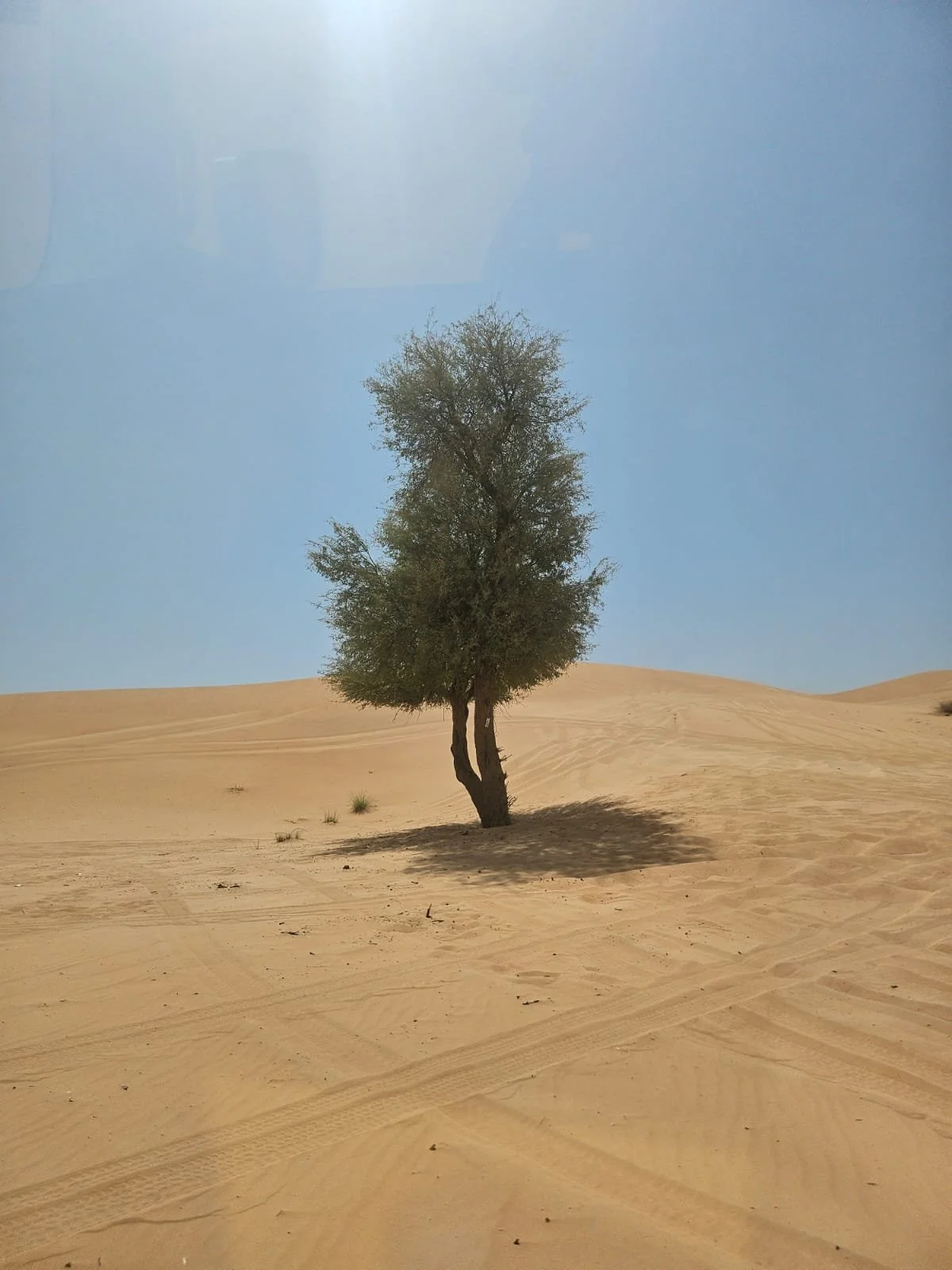 WhatsApp Image 2024-11-12 at 18.28.45.jpeg