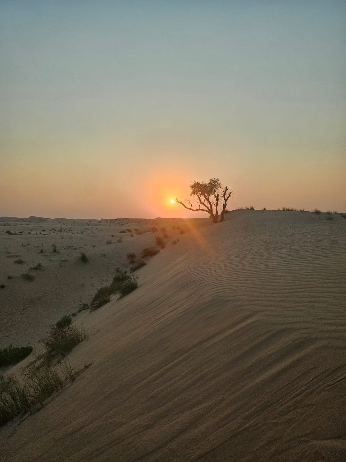 WhatsApp Image 2024-11-12 at 18.27.27.jpeg