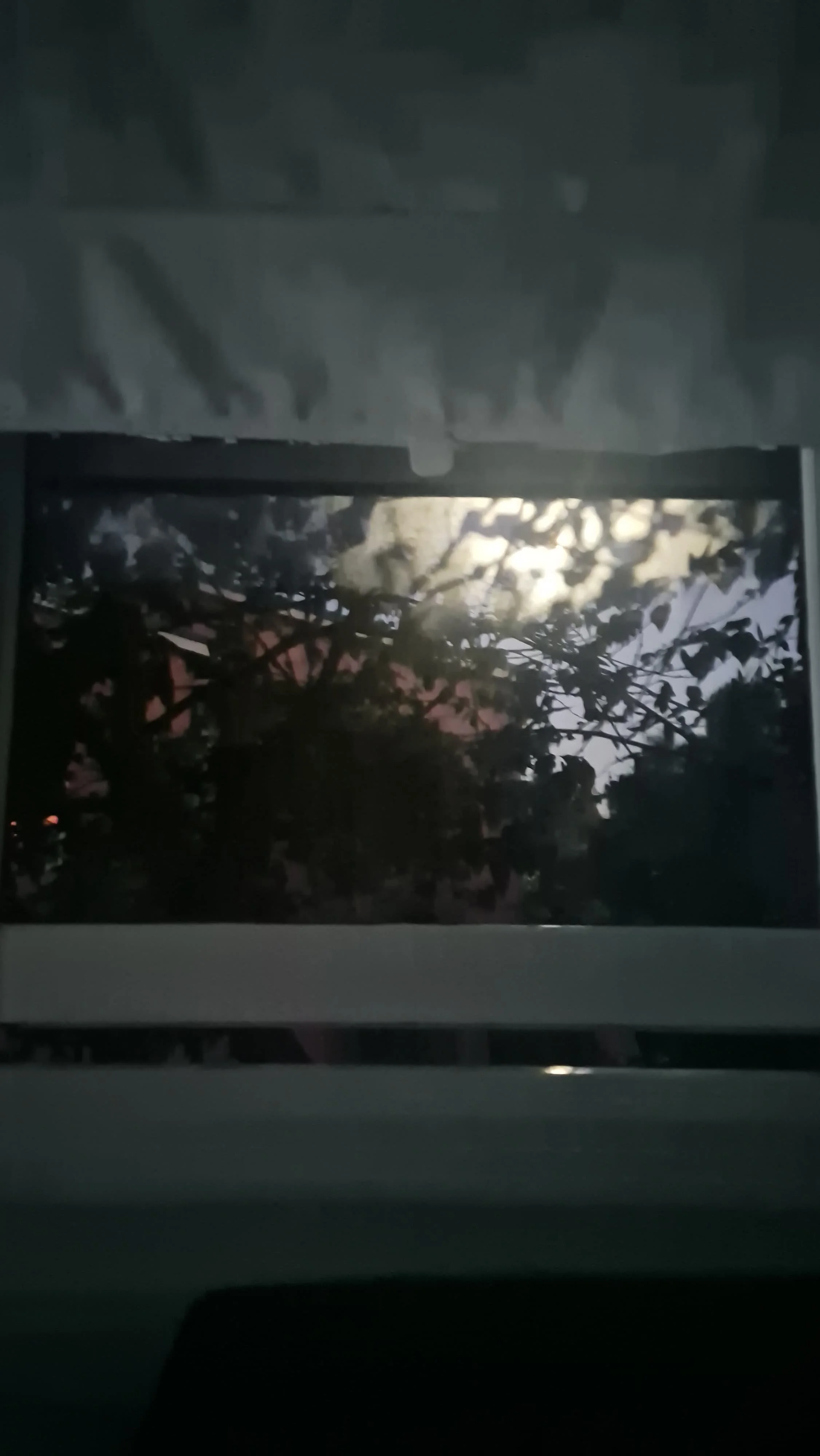 WhatsApp Image 2026-04-01 at 14.46.03.jpeg