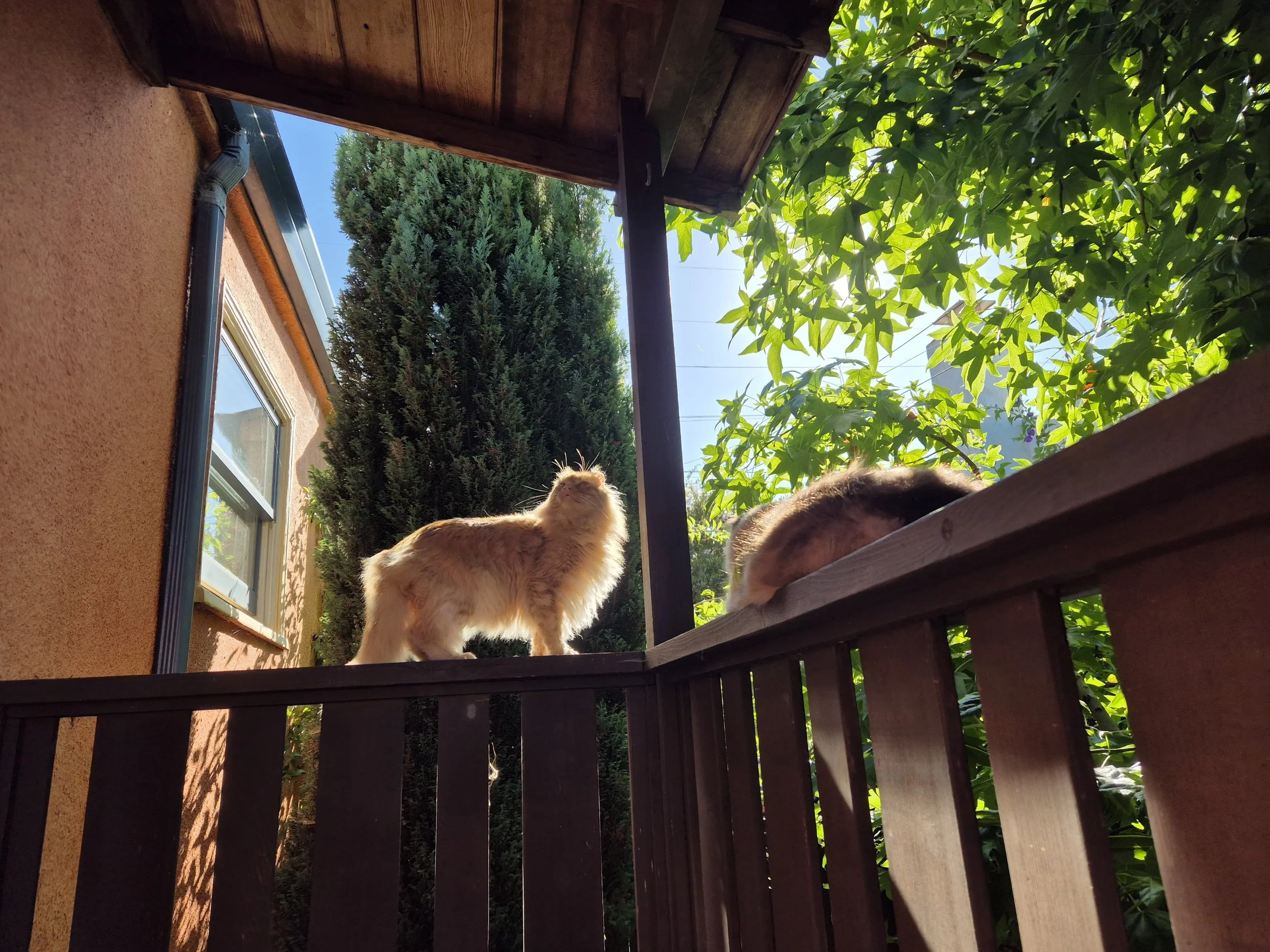 WhatsApp Image 2026-04-01 at 14.46.14.jpeg