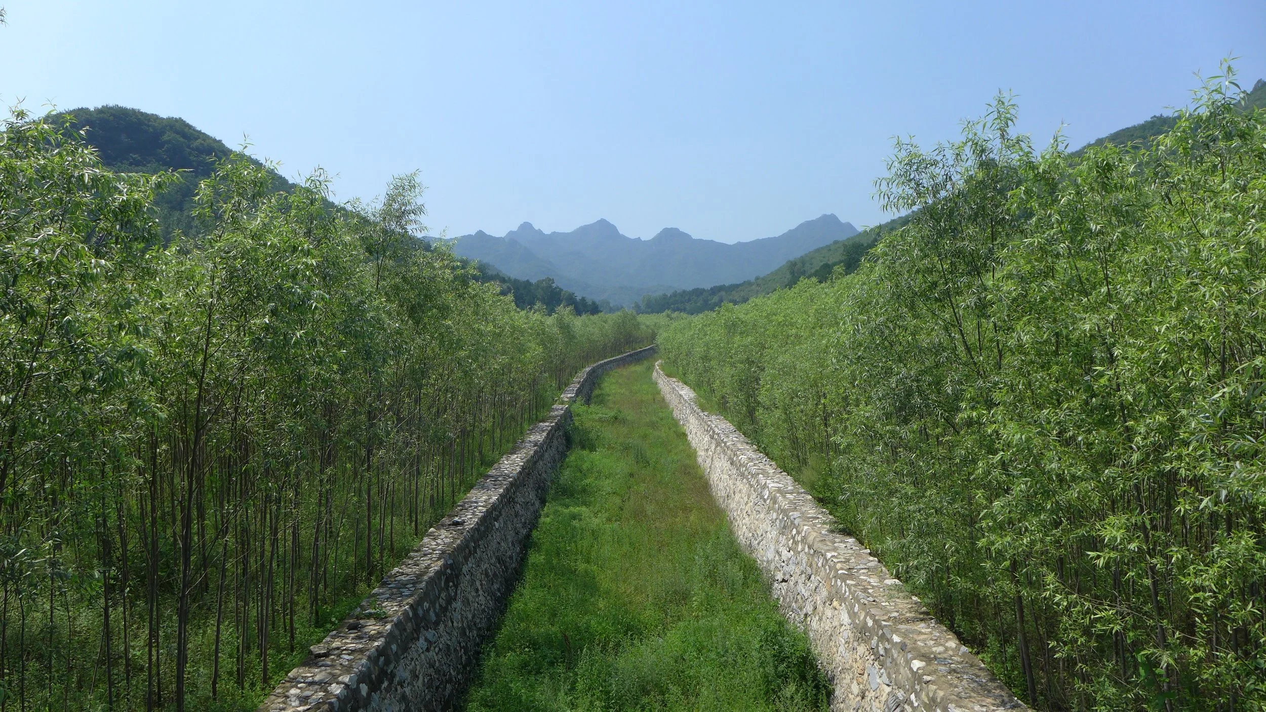 P1000396.jpg
