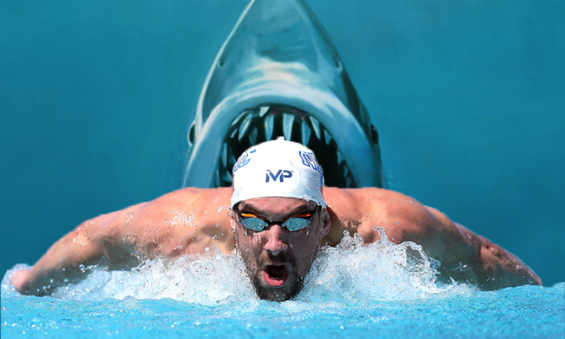 Actual photo of Michael Phelps racing a Great White Shark (it might help him to look around at his surrounding a little more #LoseTheGoggles #WhiteSharksAreDangerous #HaveSomePerspective #LookItUp