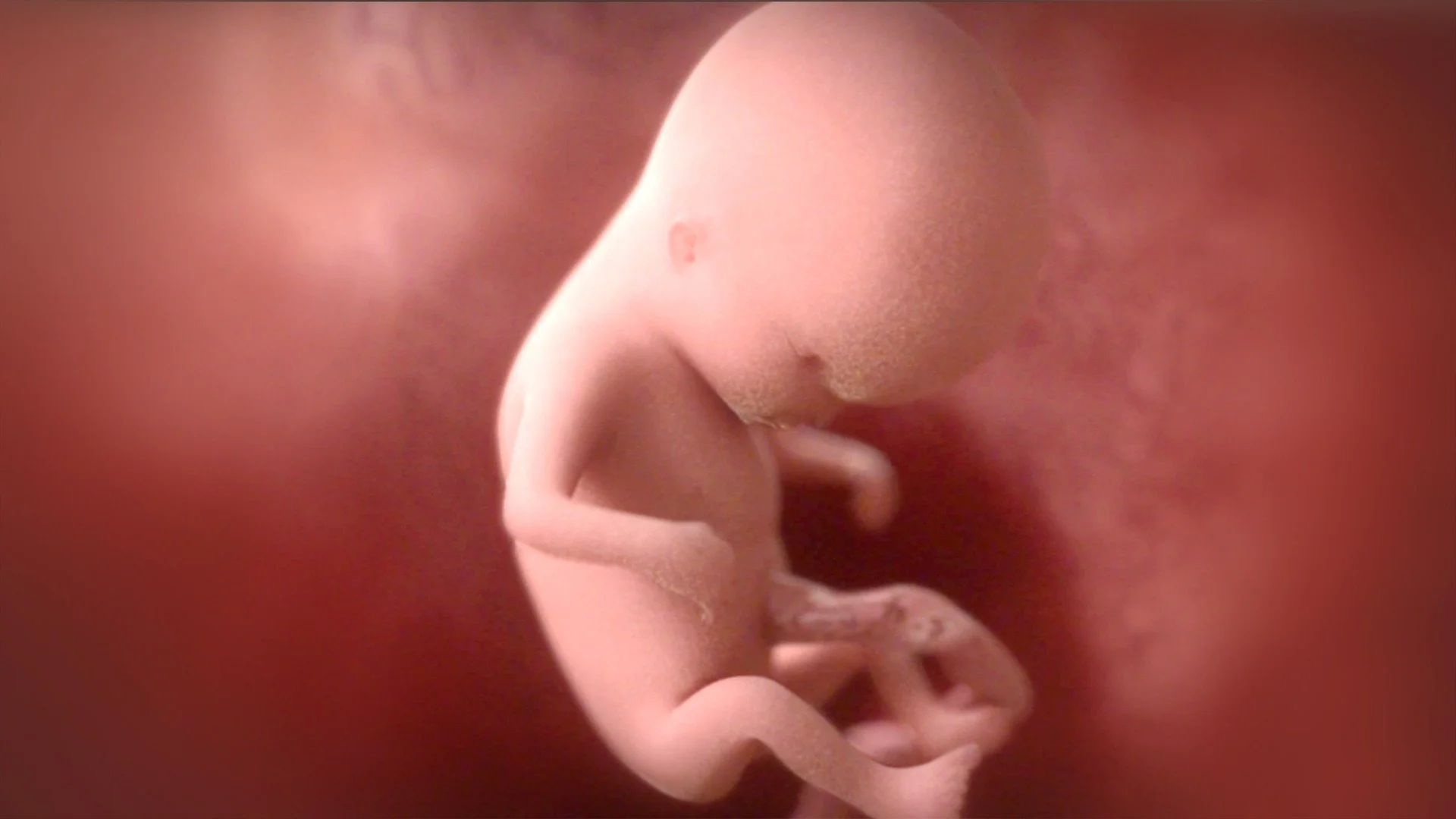 Depiction of a fetus at 12 weeks, according to whattoexpect.com