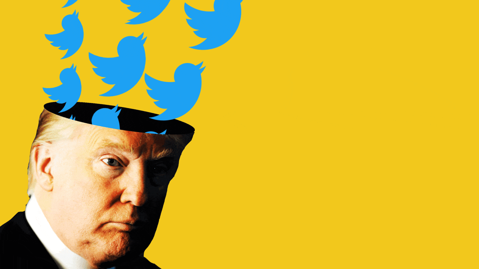 TrumpTwitter2.gif