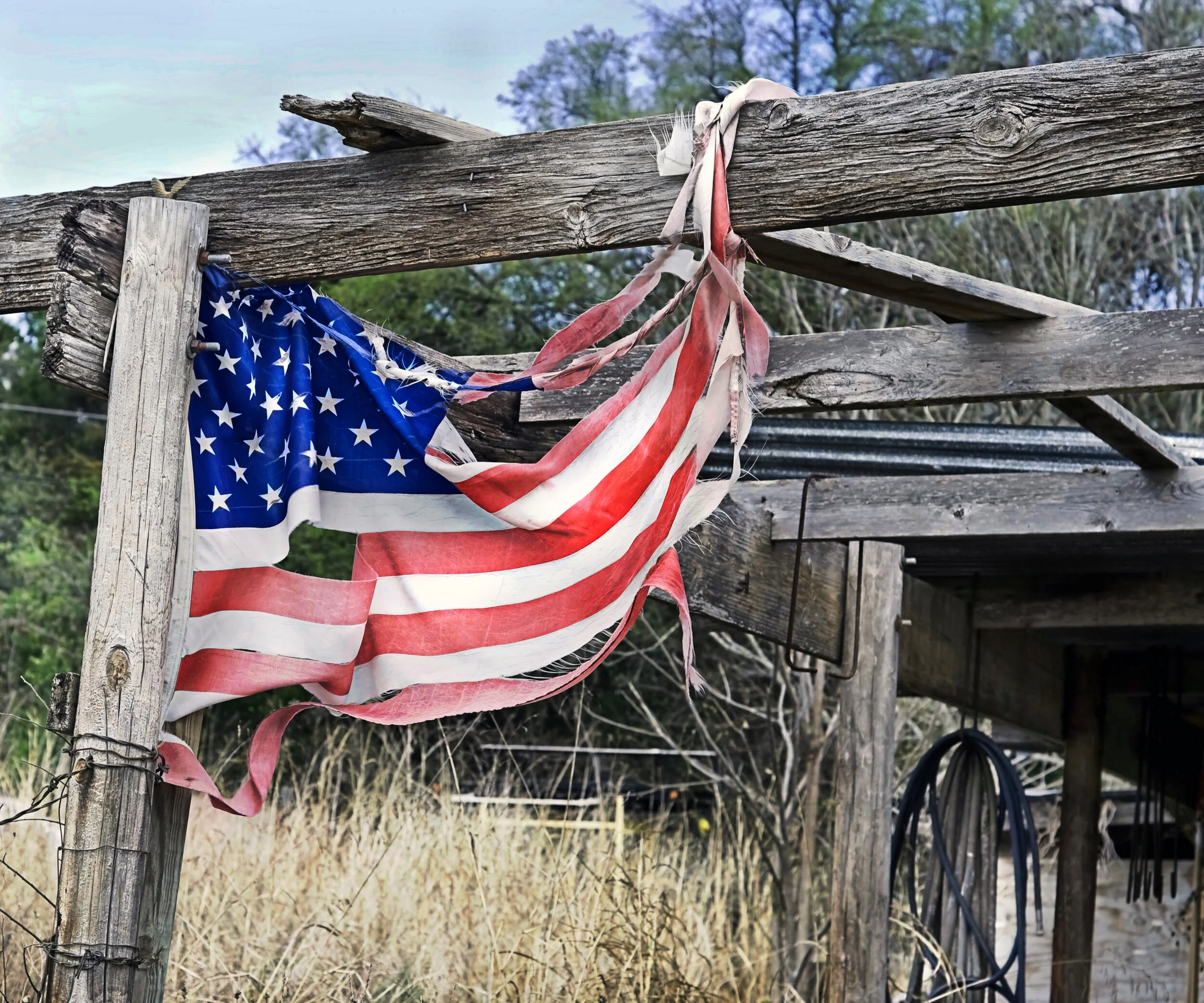 COVER_V1_CANSTOCKPHOTO.jpg