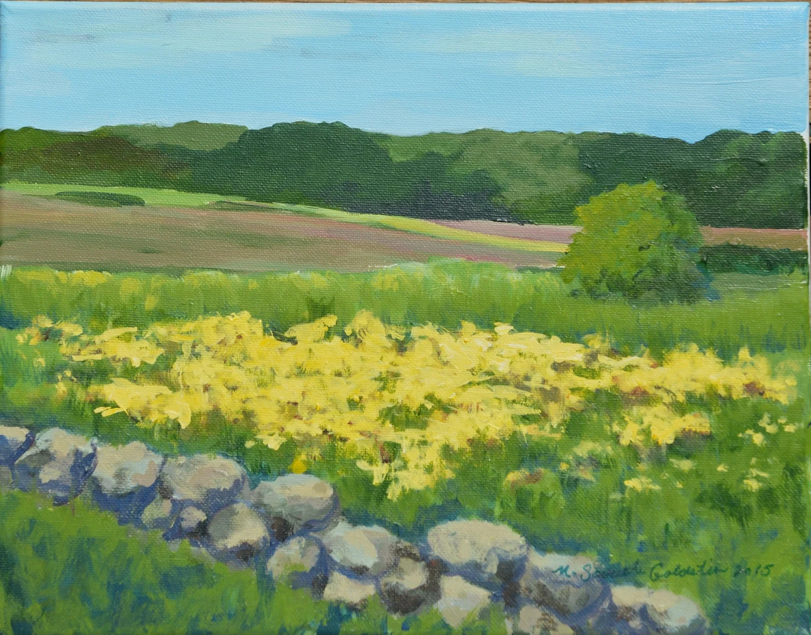 Middle Rd., Chilmark 