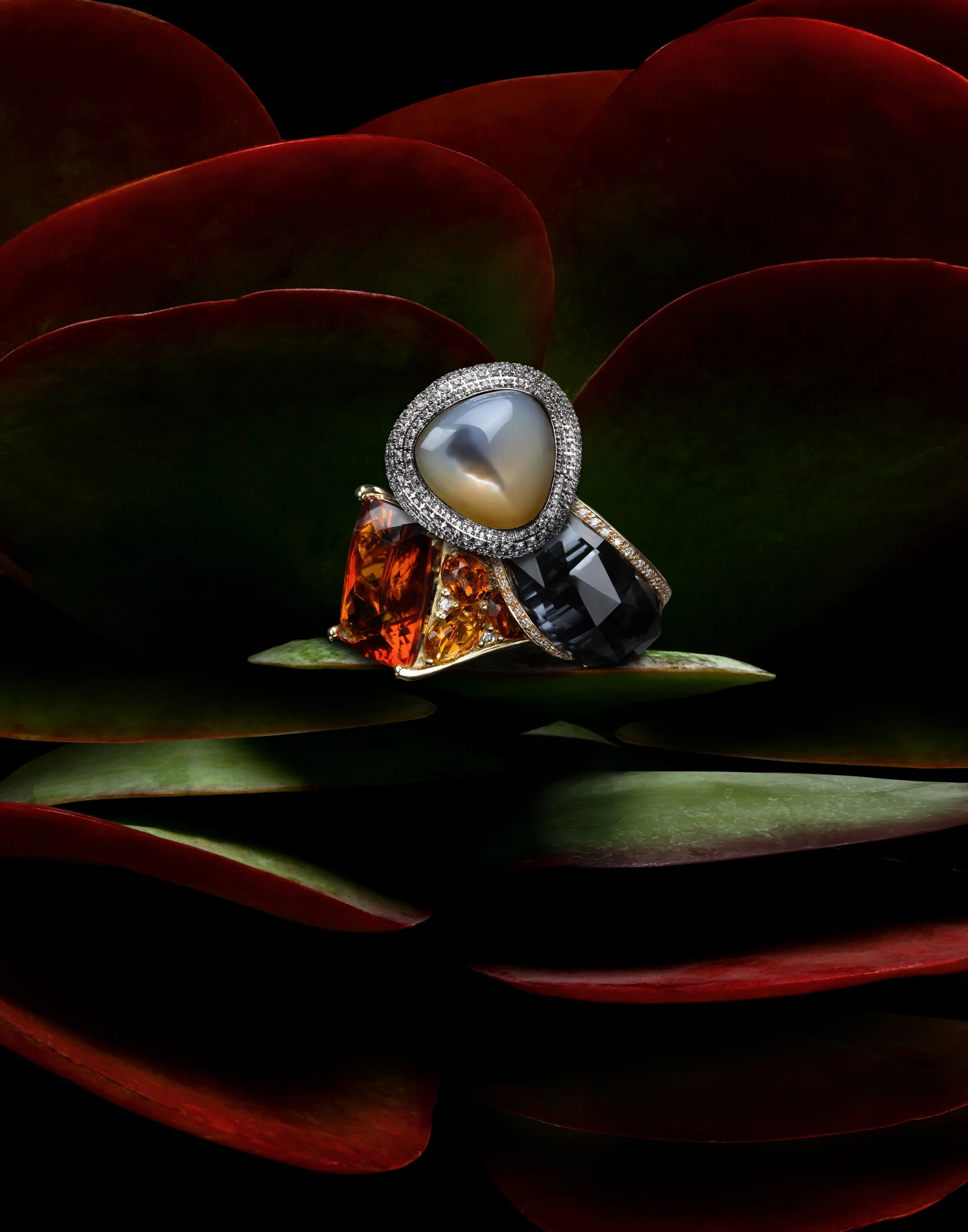 jewelry-rings-plant.jpg