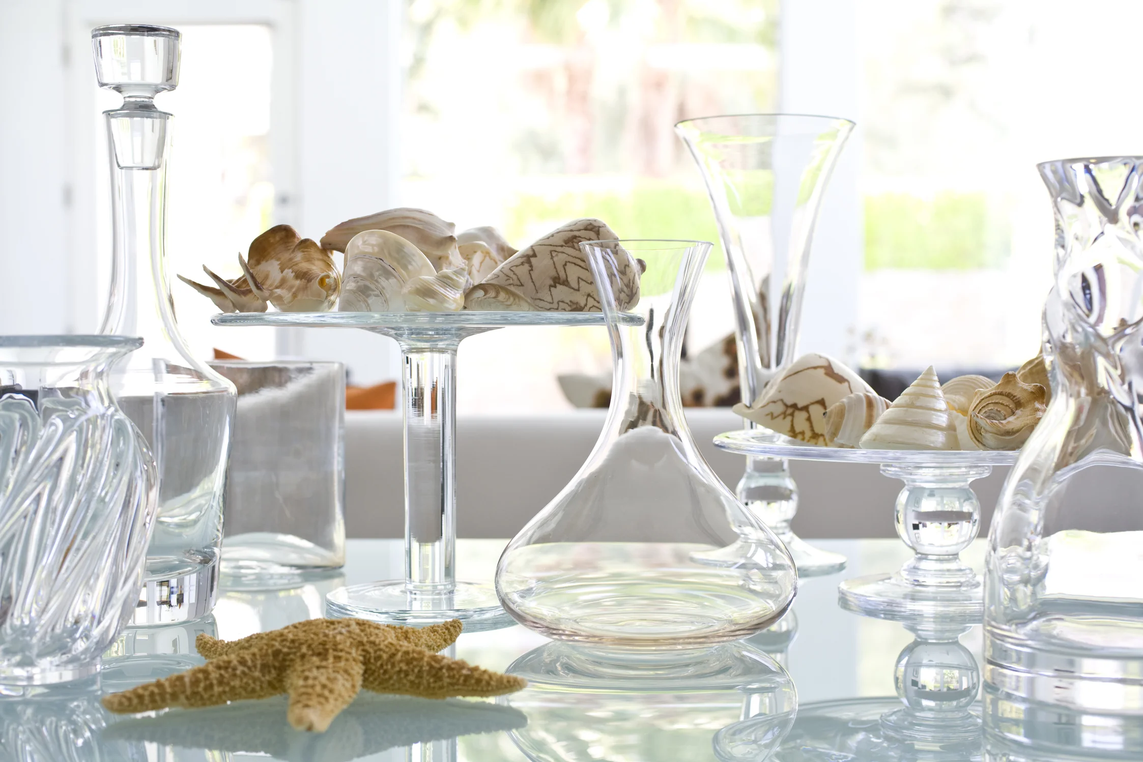 tabletop-glass-shells.jpg