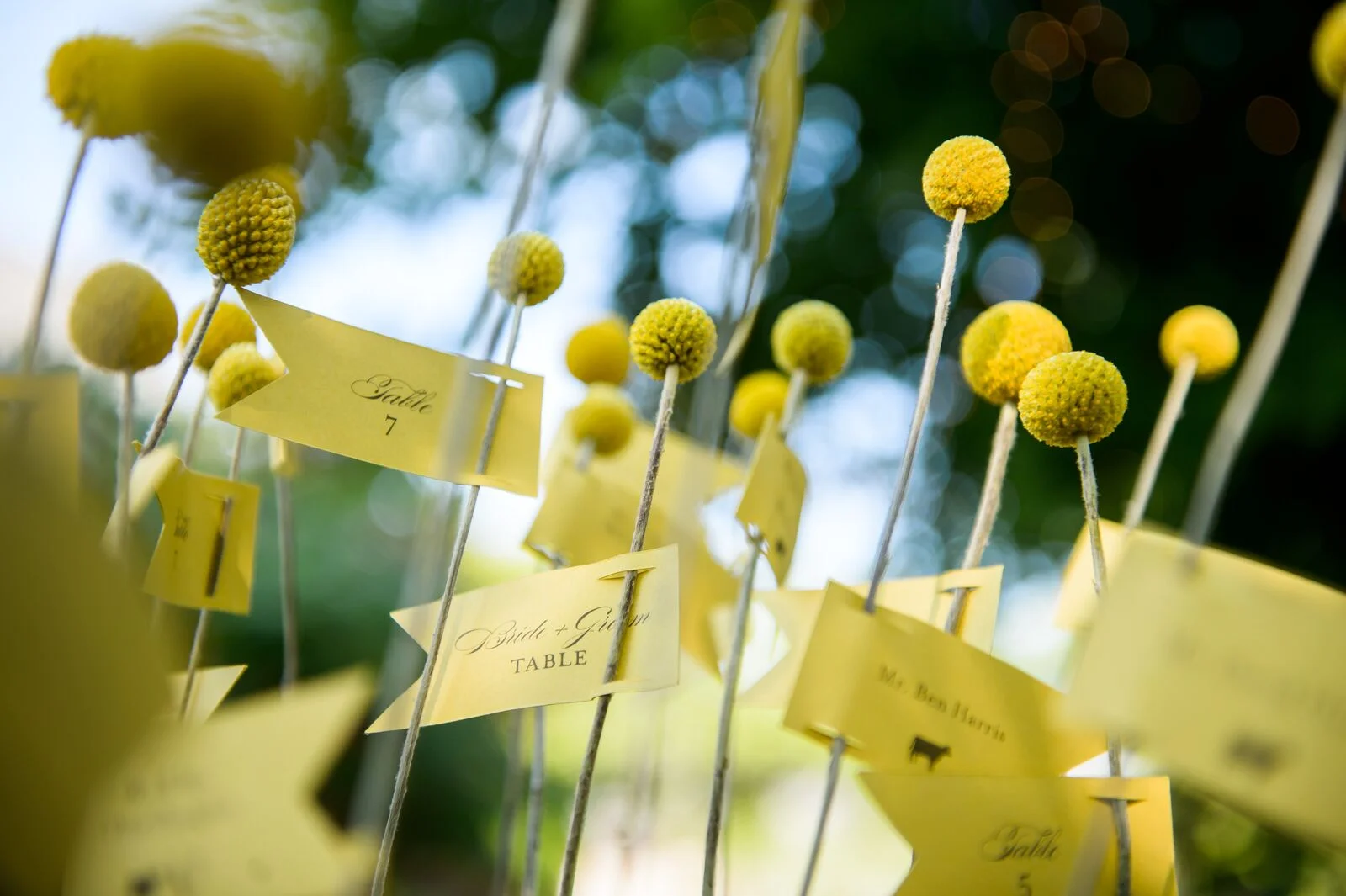 Rustic Wedding Redfield Estate Escort Cards.jpg