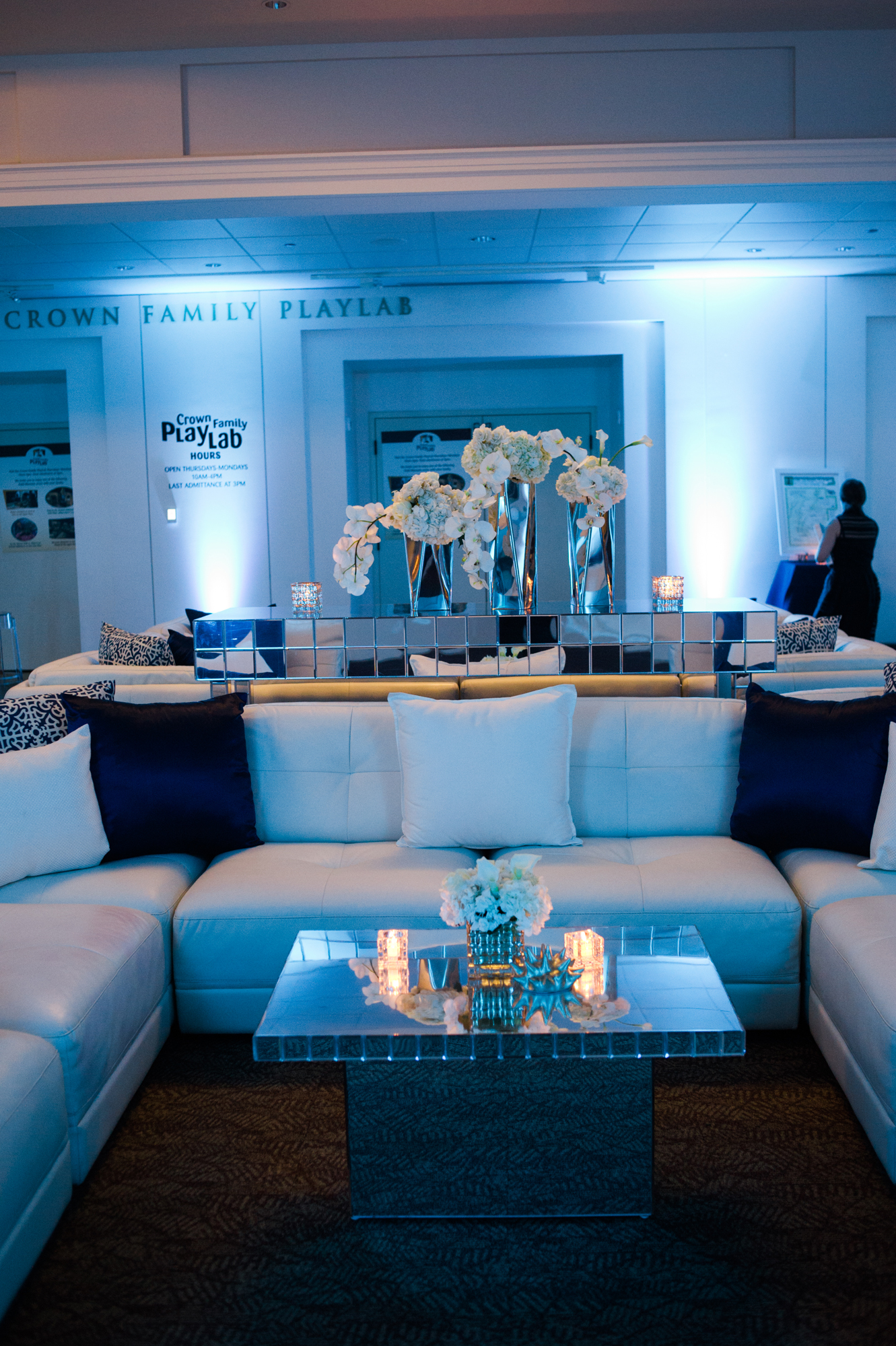 Chicago Field Museum After Party - Bliss Weddings & Events