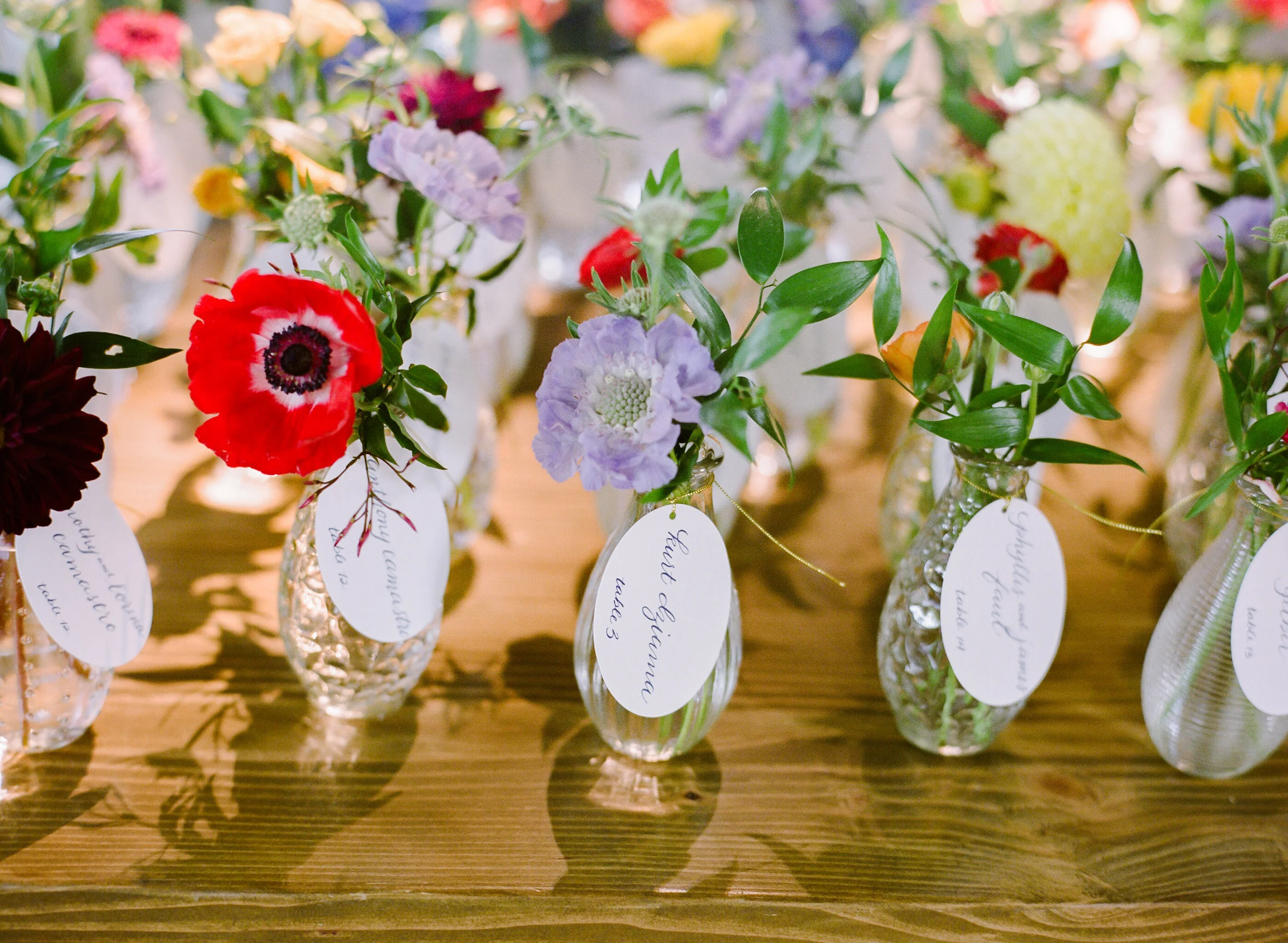 Chicago Botanic Gardens Wedding