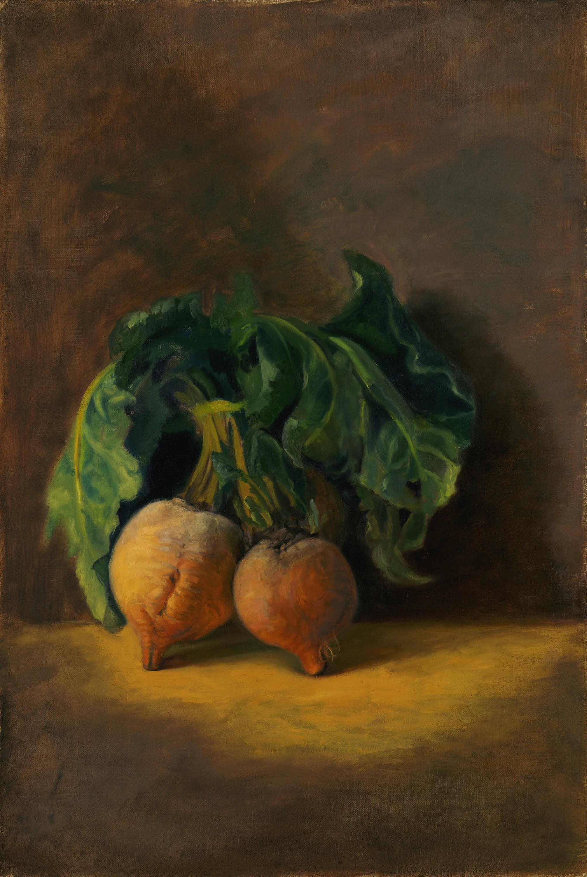 300dpi 6X10 Karen Warshal Turnips.jpg