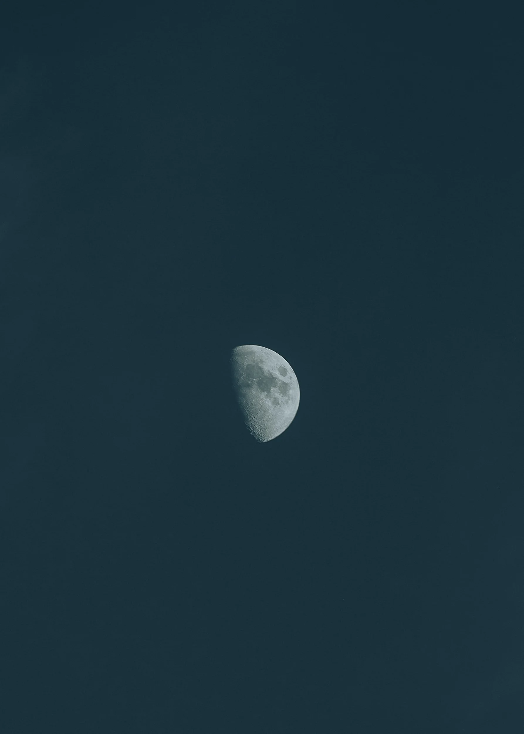 2021 Jacksonville Film Festival